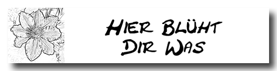 banner-blueht-was