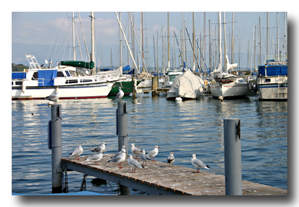 genf, hafen