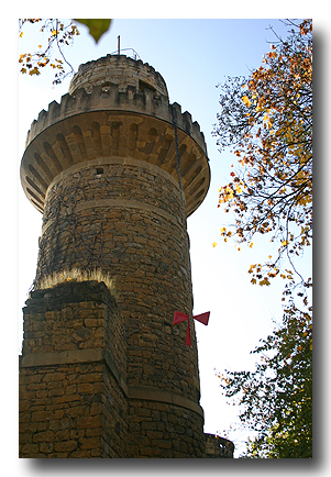 kuerbis