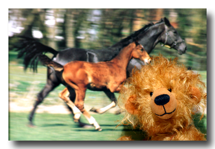 philip der pferdefreund