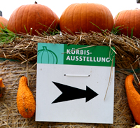 Kuerbis-Ausstellung