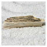 Versteinertes-Holz