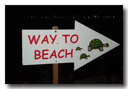 way to the beach
